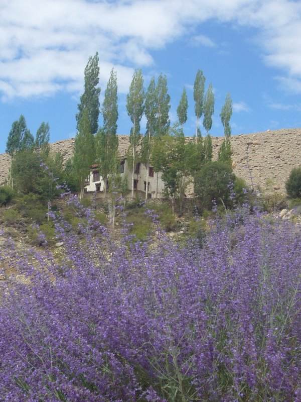Just outside likir